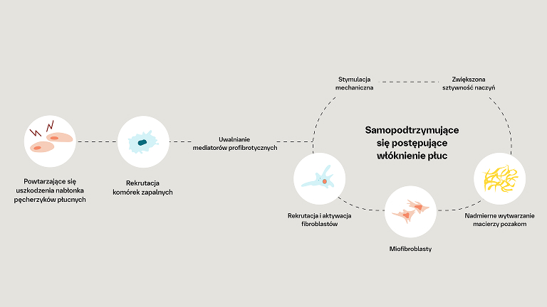 Patofizjologia włókniejącej ILD